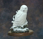 "White Out" A male snowy owl - Painted