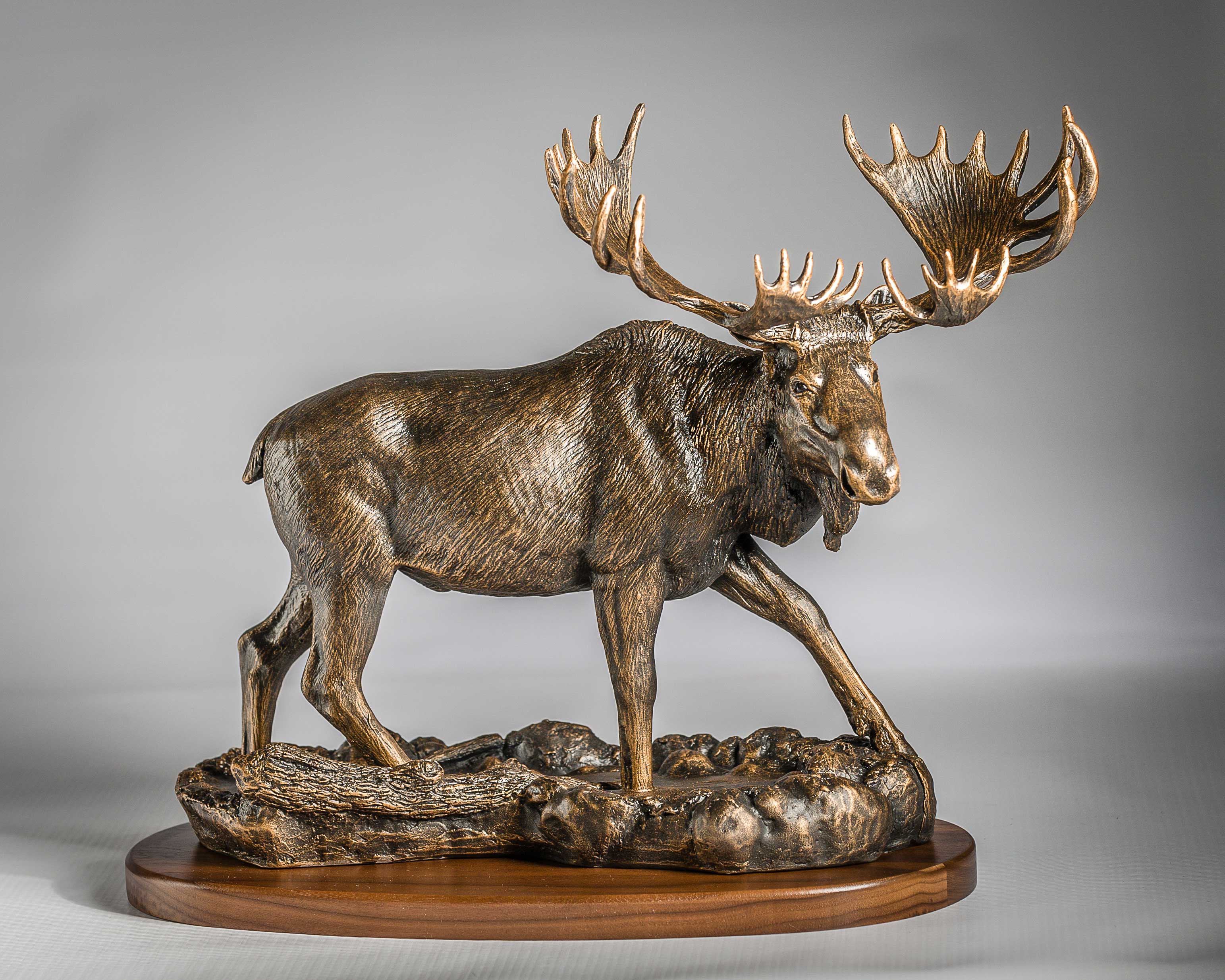 "Northern Knight" Bull moose in water - Bronze